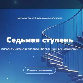 Биоэнергетика. Алгоритмы поиска энергоинформационных нарушений. Седьмая ступень (Эдуард Гуляев)