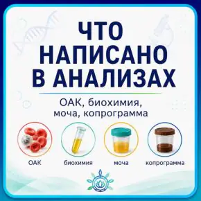 [Виктория Самира] [nativalife] Что написано в анализах (2026)